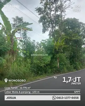 Dijual Tanah Seluas 2.775 Akses Jalan Mudah Area Wonosobo
