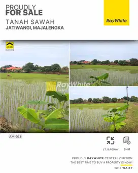 Jual Tanah Sawah SHM di Jatiwangi, Majalengka
