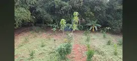 Jual Tanah Di Mekarwangi, Cisauk, Tangerang - Banten.
