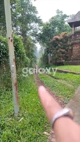 Tanah Mepet Gate Kaliandra Resort Prigen