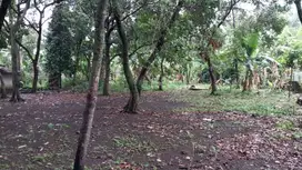 Dijual Tanah Kavling di Belakang Raffles Hills Cibubur