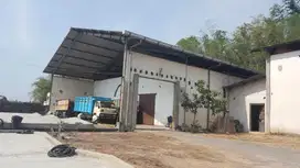 Dijual Cepat Gudang Ex Selep Padi 200 Meter Dari Gudangnya Gudang Gara