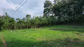 Tanah Luas di Dau, Malang – Dekat Kampus UIN, Bangun Kost Makin Mudah