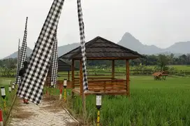 Jual kavling sawah estetik dan produktif, mulai 520rban/m, SHM
