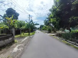 300 Jutaan; Tanah Seyegan Dekat Pemda Sleman