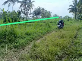 Tanah jln palagan  ngaglik Sleman