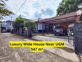 Rumah Dekat Ugm Dengan Tanah Luas Bisa Untuk Kantor