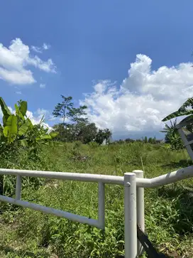 Tanah SHM Strategis Dekat UB & UMM Malang