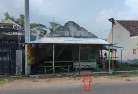 Jalan Kedung Betik, Pulorejo, Tembelang, Jombang