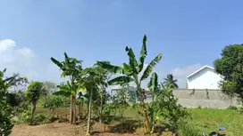 Tanah Cocok Bangun Villa atau Rumah Pensiun