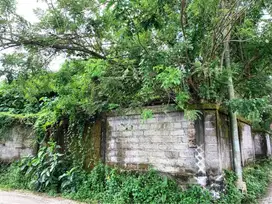 DIJUAL TANAH SHM 2015 m2 JALAN ANDONG - PETULU - UBUD - BALI