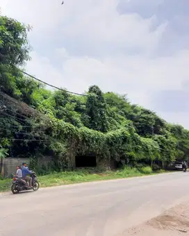 Tanah Zona Kuning Pinggir Jalan Raya Dekat Stasiun Cisauk