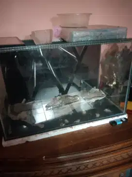 aquarium second masi bagus cocok untuk reptil