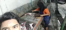 Kerja serabutan