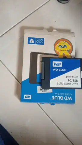 WD Blue SSD 500 GB