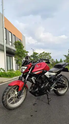 Yamaha MT 25 2 SILINDER