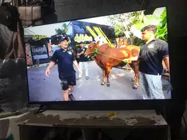 Tv dahua 43 inch android