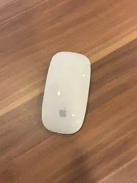 Apple Magic Mouse