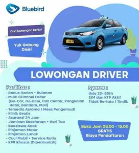 Driver Executive Bluebird Pool Pusat