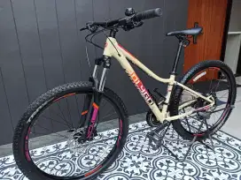 Polygon tipe Cleo 2