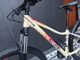 Polygon tipe Cleo 2