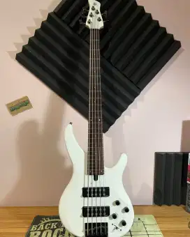 bass yamaha trbx 305 5string