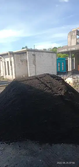 Pasir Lumajang Asli