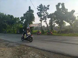 JUAL TANAH NOL PROVINSI TUBAN BABAT
