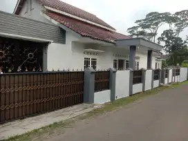 Di sewakan rumah full furnish