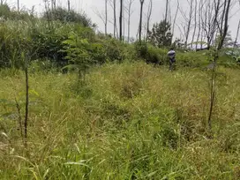 Tanah Darat dan Sawah di Bantar Gadung, Sukabumi