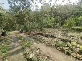 Tanah tegalan pinggir sungai karangmojo