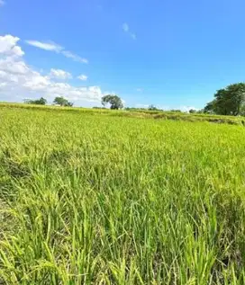 Dijual Tanah sekitar Galesong, Takalar