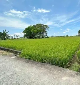 Dijual Tanah sekitar Galesong, Takalar