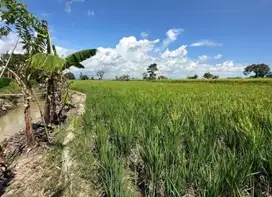 Dijual Tanah sekitar Galesong, Takalar