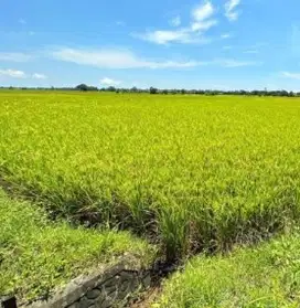 Dijual Tanah sekitar Galesong, Takalar