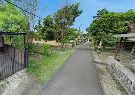 Tanah Bantul, Dekat Jl. ParangTritis, UNDER 3 JUTAAN