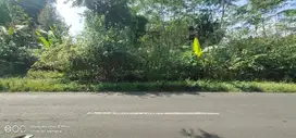 Tanah Strategis Pinggir Jalan Raya 10 Menit Ke Alun-Alun