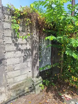 Tanah 3 Are di Bedahulu Gatsu Tengah Dkt RS Puri Bunda Lumintang Ayani