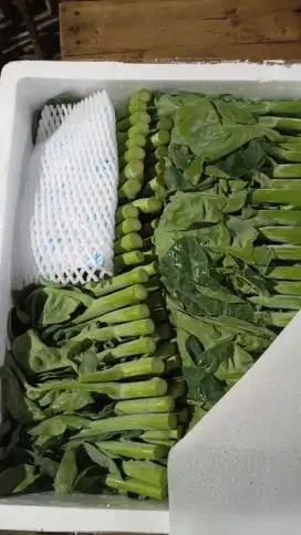 Admin Kantor Siap kerja