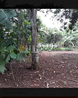 Dijual Tanah cocok utk perumahan di Cinangka Sawangan Depok Jawa Barat