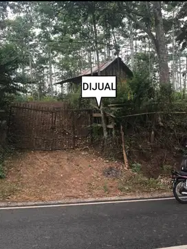 Dijual Tanah  Desa Bundelan Bondowoso