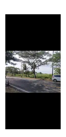 Dijual  Tanah Desa Kapongan  Situbondo