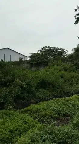 Strategis Jalan Kembar Dekat Tol Manyar Lahan Manyar Industri Gresik