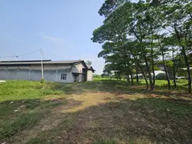 DIJUAL KAVLING KAWASAN INDUSTRI PULO GADUNG LOKASI MENARIK