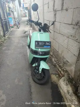 Molis Viar NX surat lengkap