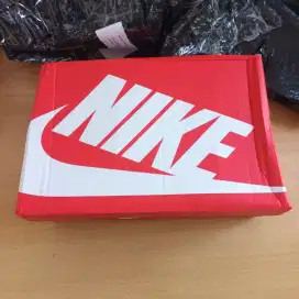 Sepatu Nike P6000