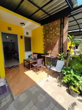 Dijual atau di sewakan rumah cantik kampung semawis