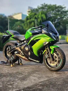 Kawasaki 650 ER6/ER6F Hijau