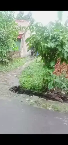 JUAL CEPAT TANAH 165 METER AKSES MOBIL KAYU GEDE, PAKUJAYA, TANGSEL