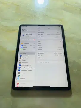 Ipad Pro 11 inch 2020 (2nd Gen) 128gb wifi Like new 9/10